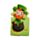 Luck of the Irish Ireland Magnetic Bookmark Set