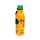 Summer Fruits Hot & Cold Drinks Bottle 500ml