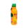 Summer Fruits Hot & Cold Drinks Bottle 500ml