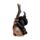 Witches Magical Black Cat with Broomstick