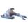 Dolphin Small Sand Animal
