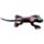 Frill Neck Lizard Large Sand Animal