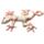 Gecko Medium Sand Animal