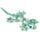 Salamander Medium Sand Animal