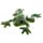 Frog Medium Sand Animal