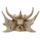 Dragon Skull Decoration