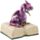 Elements Dragon with Book