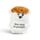 Positive Emotional Support Crochet Animals Mix 2