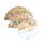 Tulips Folding Hand Fan