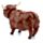 Highland Coo Cow Solar Pal