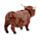 Highland Coo Cow Solar Pal