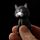 Cat LED Keyring with Meowing Sound
