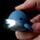Octopus Penguin & Dolphin LED Sealife Keyring with Sound