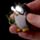Octopus Penguin & Dolphin LED Sealife Keyring with Sound