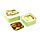 Set of 3 Lunch Box M/L/XL Tropical Tree Frog