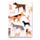 Barks Dog Recycled Paper A5 Notebook