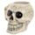 Ancient Skull Head Ceramic Shaped Mug