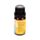 Autumn Harvest Set of 3 Fragrance Oils