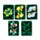 Animal Kingdom Standard Playing Card Deck