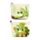 Tropical Frogs PVC Purse