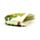 Tropical Frogs PVC Purse