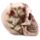 Skull with Roses