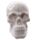 Gruesome Small Skull Decorations