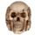 Set of 3 Small See No, Hear No, Speak No Evil Skulls
