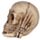 Set of 3 Small See No, Hear No, Speak No Evil Skulls