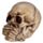 Set of 3 Small See No, Hear No, Speak No Evil Skulls