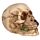 Skull with Rose in Teeth