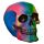 Rainbow Skull Decoration
