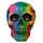 Rainbow Skull Decoration