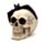Gruesome Skull Head with Bat Decoration