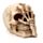 Gruesome Skull Head with Skeleton Claw Hand