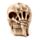 Gruesome Skull Head with Skeleton Claw Hand