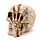 Gruesome Skull Head with Skeleton Claw Hand
