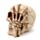 Gruesome Skull Head with Skeleton Claw Hand