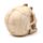 Gruesome Skull Head with Skeleton Claw Hand