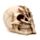 Gruesome Skull Head with Skeleton Claw Hand