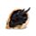 Shadows of Darkness Black Dragon in Skull Small