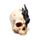 Shadows of Darkness Black Dragon in Skull Small
