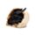 Shadows of Darkness Black Dragon in Skull Small