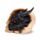Shadows of Darkness Black Dragon in Skull Large