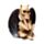 Set of 3 The Reaper of Death See No Speak No Hear No Evil Winged Demons