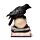 Crow Perched on LED Skull & Books