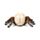 Skull with Spider Legs
