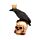 Crow wearing Crown Standing on Skull with Roses