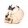Skull with Metallic Butterflies