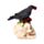 Skull with Raven & Red Roses